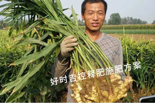 姜農(nóng)滿意，效果杠杠的！